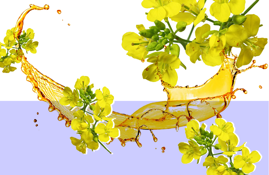 Рапсовое масло